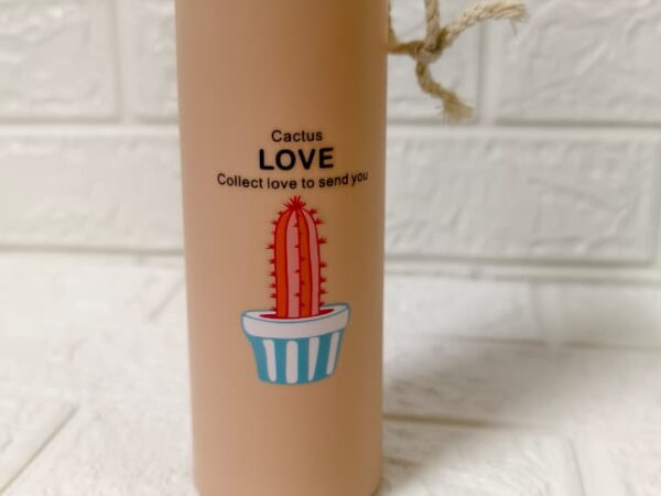 Cactus Love Nice water bottle